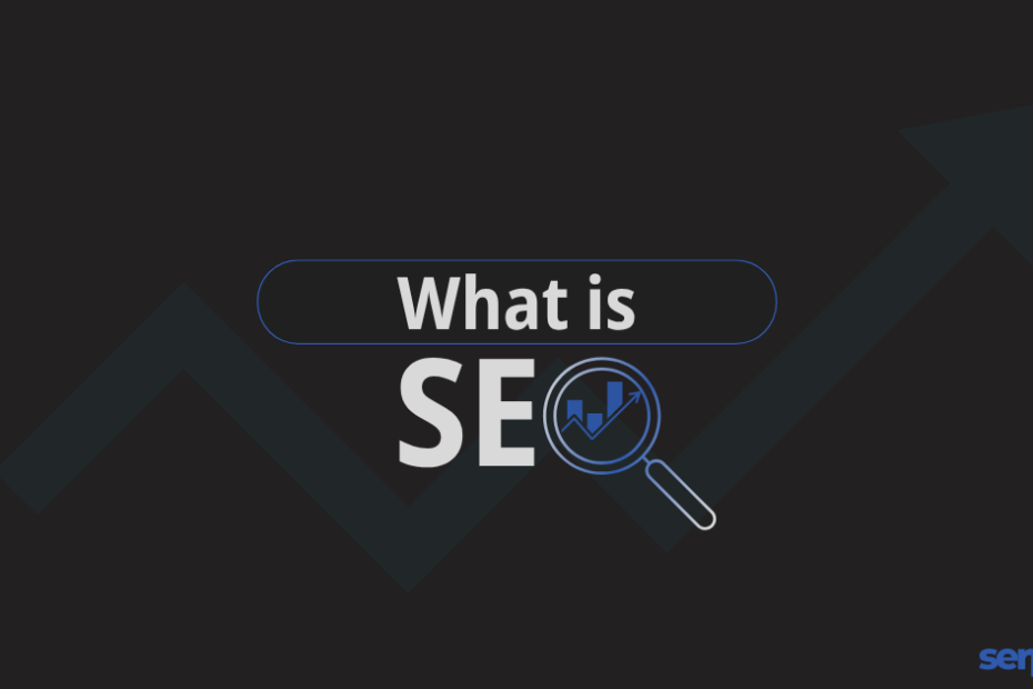 What is SEO